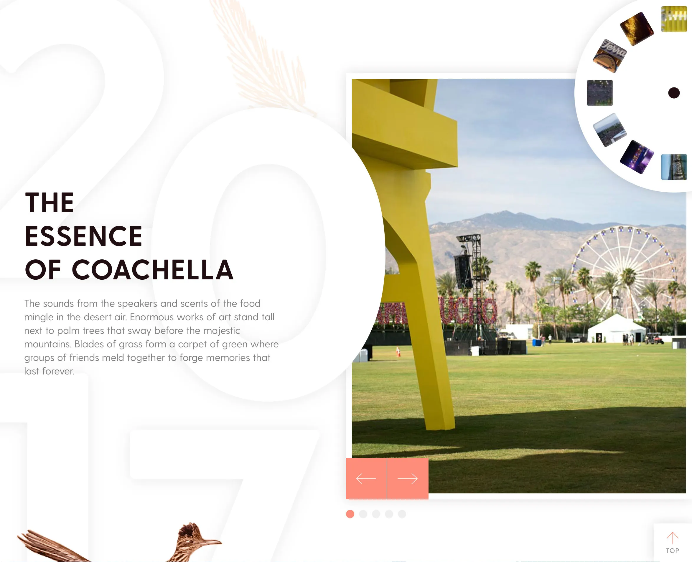 Coachella